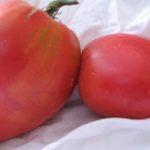 มะเขือเทศรูปหัวใจ