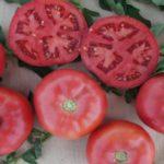 มะเขือเทศสุก