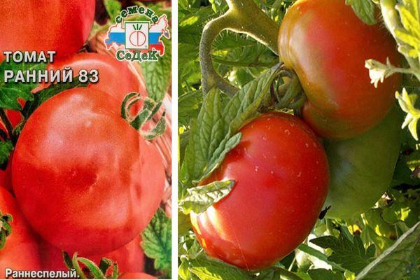 Graines et tomates