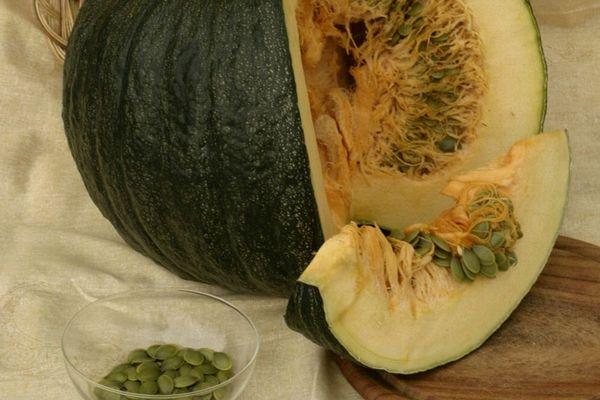 ฟักทองเปลือกแข็ง