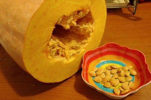 เมล็ดฟักทอง