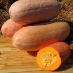 ฟักทองผลยาว