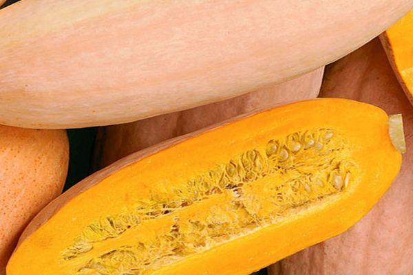 เนื้อฟักทอง