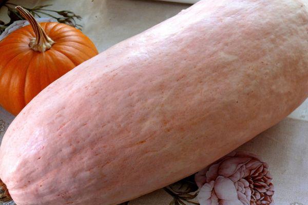 ฟักทองขนมหวาน