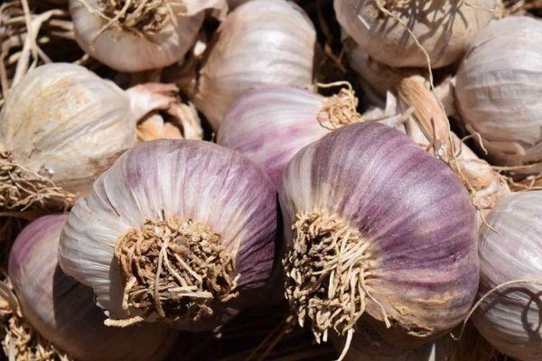 หัวกระเทียม