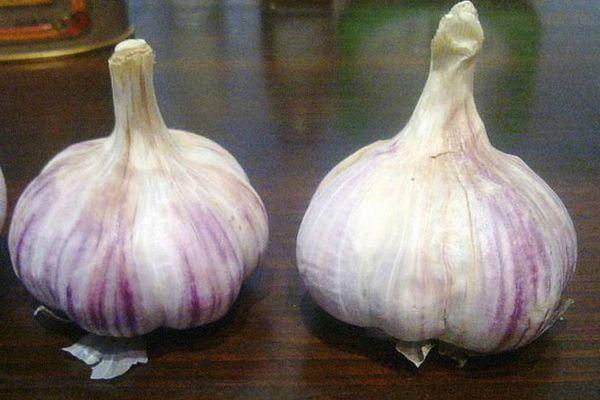 กระเทียมสองหัว