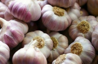 หัวกระเทียม