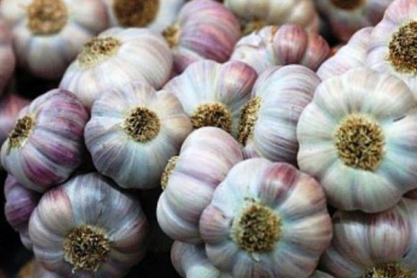 หัวกระเทียม