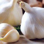 กระเทียมไซบีเรีย