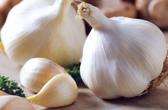 กระเทียมไซบีเรีย