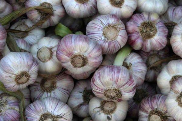 หัวกระเทียม