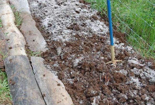 ขี้เถ้าบนพื้นดิน