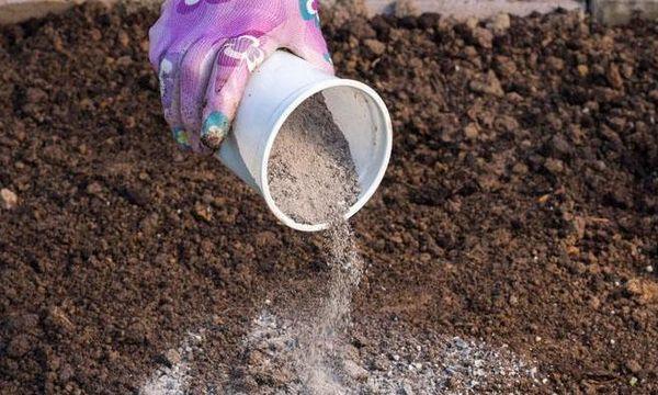 ขี้เถ้าไม้