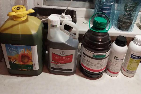 ทบทวนและการใช้สารกำจัดวัชพืชสำหรับกระเทียมฤดูหนาวและฤดูใบไม้ผลิเพื่อกำจัดวัชพืช