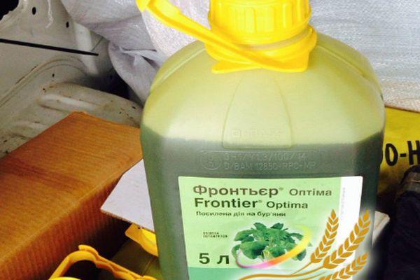 ฟรอนเทียร์ ออปติมา