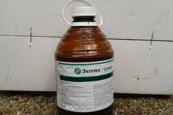 ยาเซนคอร์