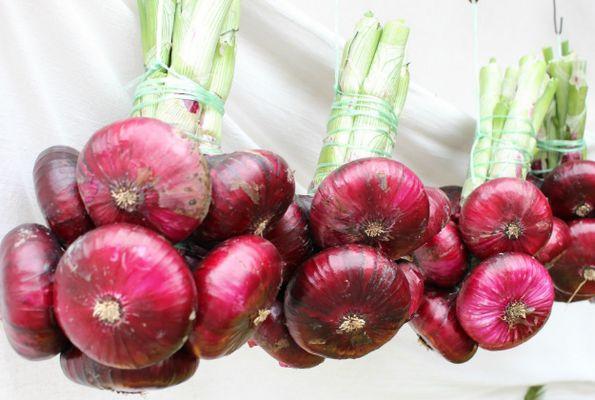 oignons rouges