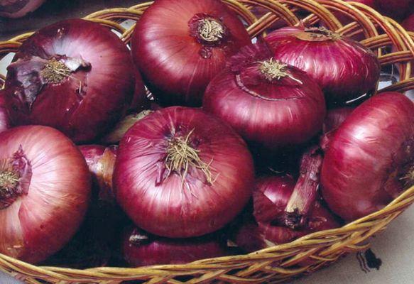 Oignon rouge