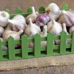 กล่องกระเทียม