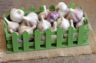 กล่องกระเทียม