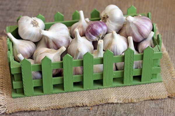 กล่องกระเทียม