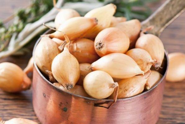 Bol d'oignons