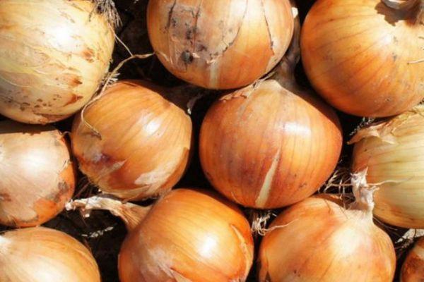 หัวหอมสุก