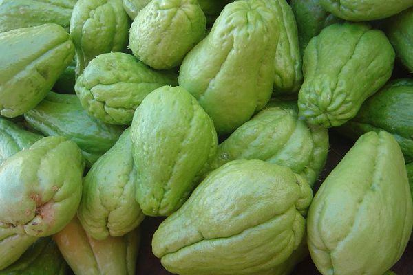 แตงกวาชะอม