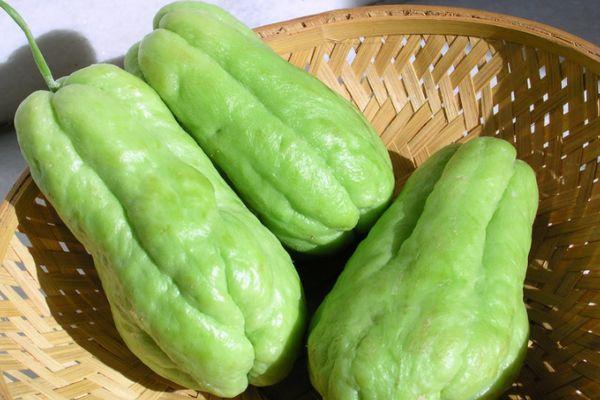 แตงกวาชะอม