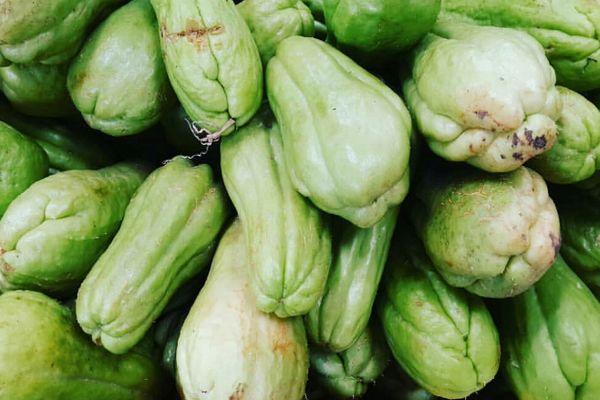 แตงกวาชะอม