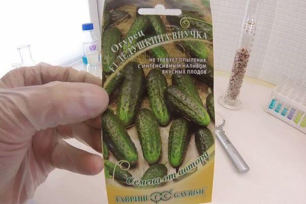 เมล็ดแตงกวา