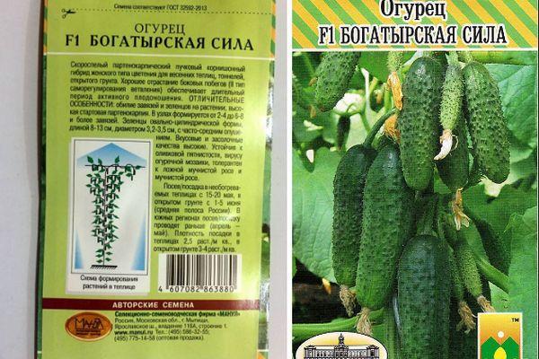 เมล็ดแตงกวา