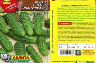 ลักษณะของแตงกวา