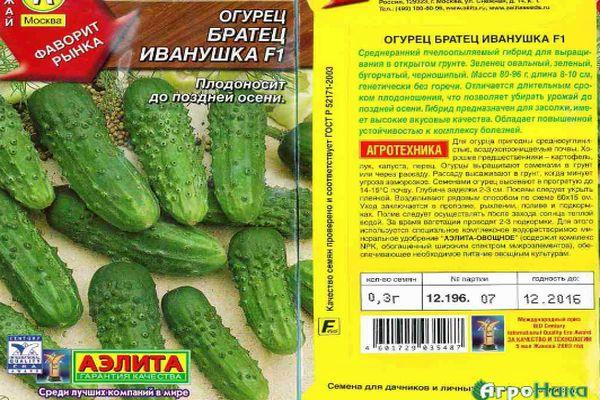 Description des concombres