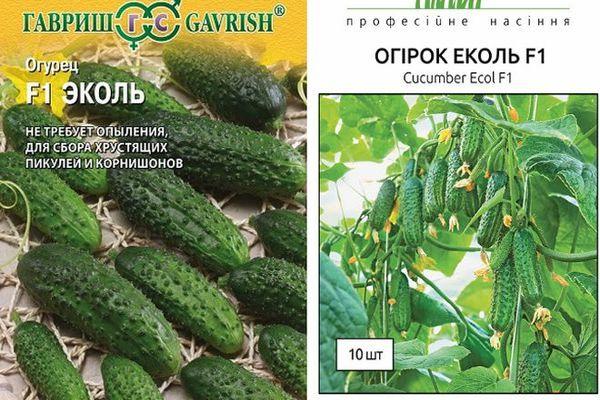 ซองเมล็ดพันธุ์