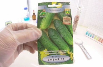 เมล็ดพันธุ์ในแพ็ค