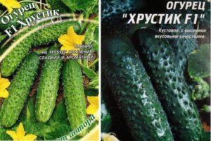 คำอธิบายเกี่ยวกับแตงกวา Khrustik f1 และวิธีการปลูกพันธุ์
