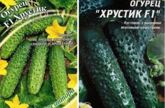 เมล็ดแตงกวา