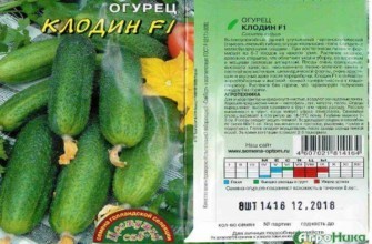 ลักษณะของแตงกวา