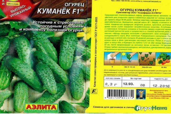 เมล็ดแตงกวา