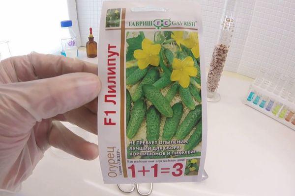 เมล็ดพันธุ์หนึ่งแพ็ค