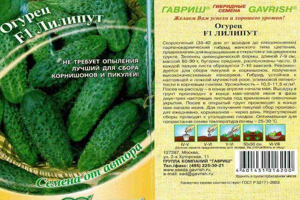 เมล็ดมะเขือเทศ