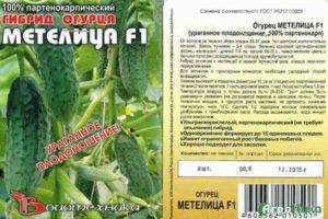คำอธิบายเกี่ยวกับแตงกวาพันธุ์ Metelitsa F1 และวิธีการปลูกพันธุ์ผสม