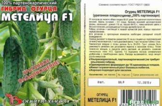 ลักษณะของแตงกวา