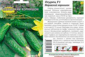 คำอธิบายของแตงกวา Moravian Gherkin f1 และคำแนะนำในการปลูกพันธุ์ผสม