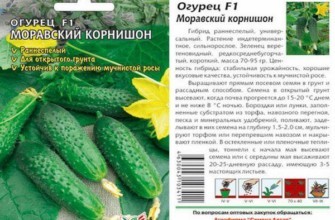 ลักษณะของแตงกวา