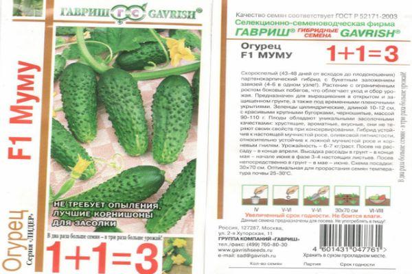 ลักษณะของแตงกวา