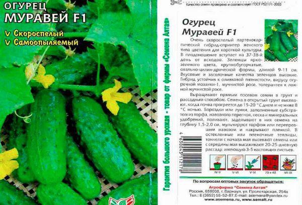 ลักษณะของมะเขือเทศ