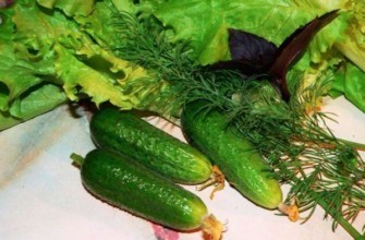 ไฮบริด นาสตยา