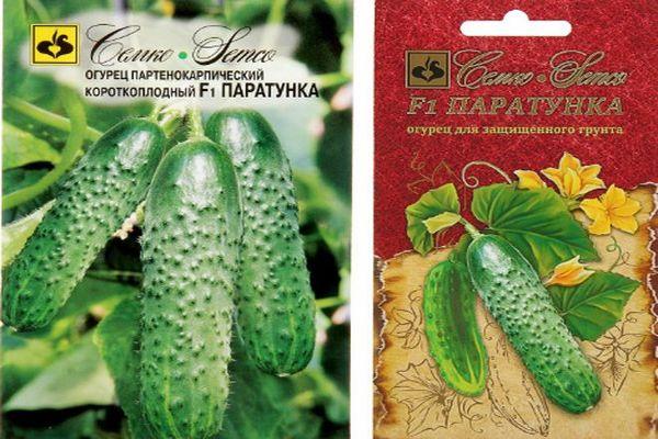 เมล็ดแตงกวา